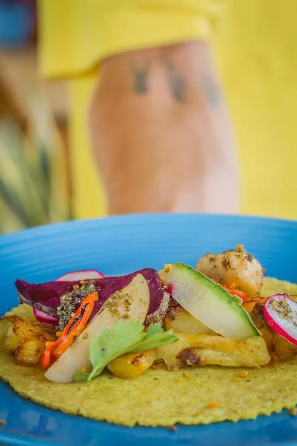 Straw Hat Hostel & Rooftop Bar Tulum